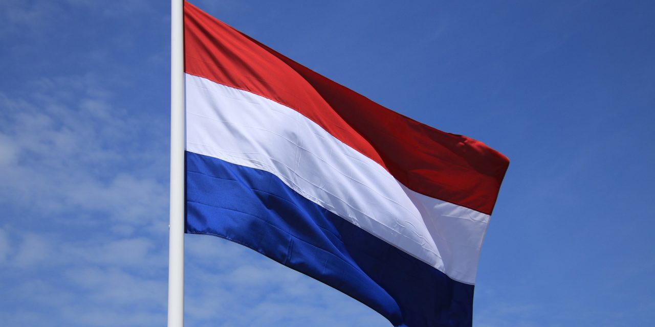 Olanda permite eutanasierea copiilor cu vârsta de pana la 12 ani bolnavi în fază terminală