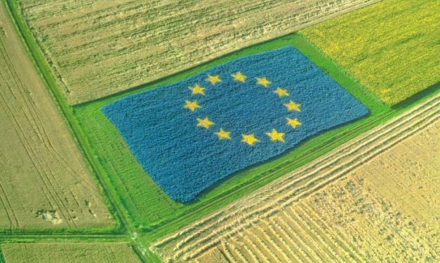 Disensiunile continuă între agricultură și mediu în UE din cauza politicilor climatice exagerate