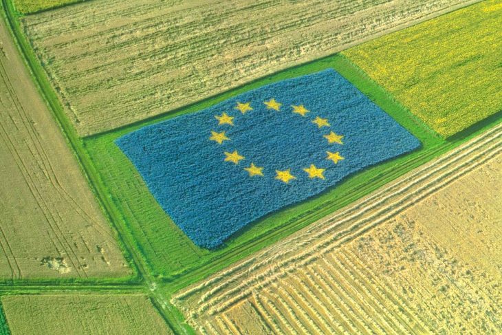 Disensiunile continuă între agricultură și mediu în UE din cauza politicilor climatice exagerate