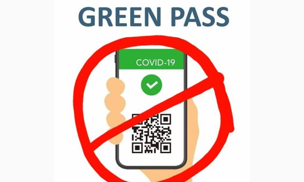 UE vrea prelungirea pașapoartelor verzi. Votați pe site-ul Comisiei azi pentru apărarea drepturilor!