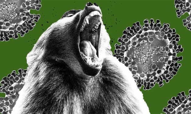 Surprinzătoarea legătura a laboratorul biologic din Wuhan cu variola maimuței