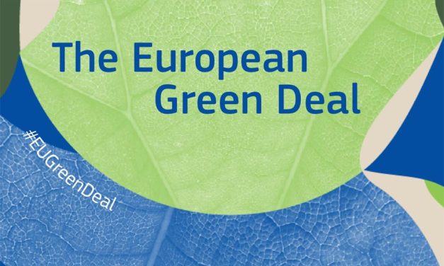 Grean Deal: Parlamentul European a respins reducerea emisiilor de carbon dar nu este ce pare