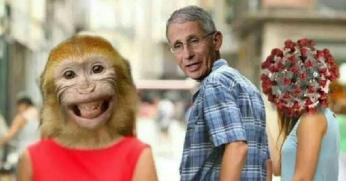 „Știința” din spatele Variolei Maimuțelor este comică