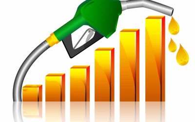 OPEC: Saudiții nu se mai tem de Statele Unite. Reduc productia de petrol.