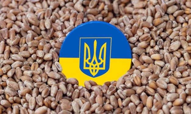 Producția de cereale din Ucraina afectată de război provoacă o criză alimentară în Africa