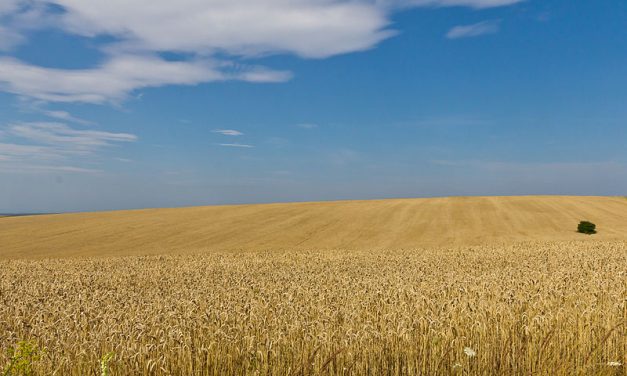 Lipsa gazelor naturale din Europa ar putea declanșa o criză alimentară