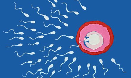 Scăderea drastică numărului de spermatozoizi pune în pericol omenirea