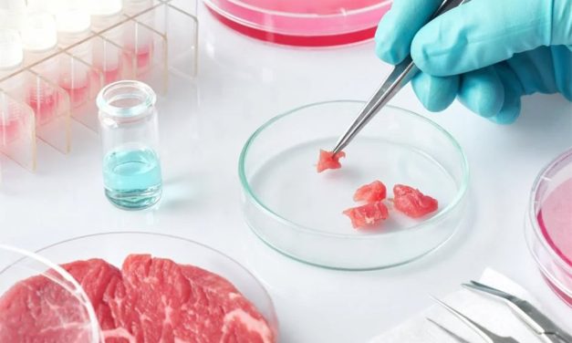 Italia va interzice alimentele cultivate în laborator pentru protejarea moștenirii culinare