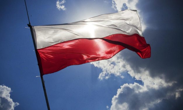 Un nou sondaj arată că polonezii resping societatea fără numerar, interzicerea motoarelor cu ardere și restricțiile privind vânzările de carne