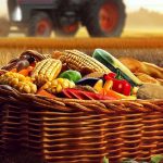 Subvenții de la UE în schimbul închiderii fermelor. „Scopul lor este de a eradica agricultura”