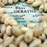 UE cedează în bătălia cerealelor permițând celor 5 state membre afectate să interzică temporar importurile