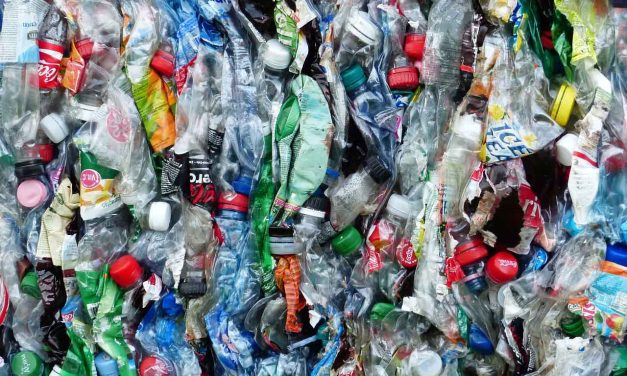 Plasticul reciclat poate fi un pericol pentru sănătate. Ce rămâne de făcut?